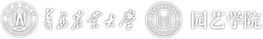 美加墨世界杯官方网站